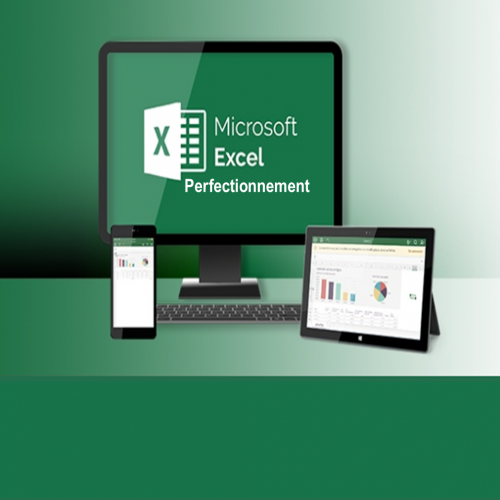 Excel Perfectionnement