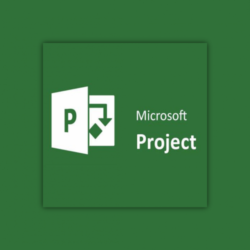 Ms Project